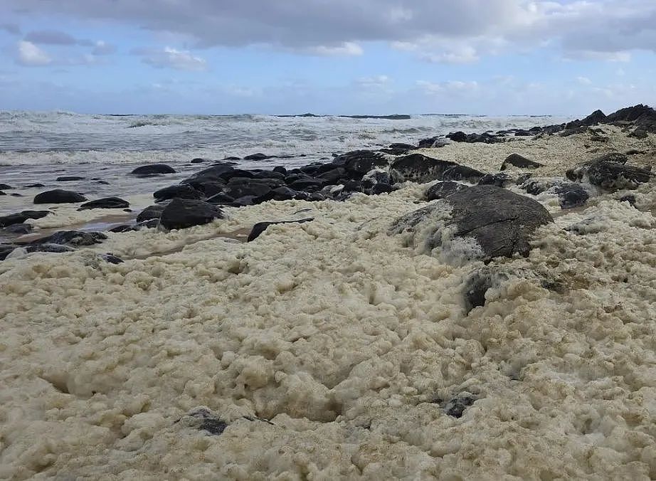 澳洲海滩惊现神秘泡沫！民众接触后现流感样症状，大量海洋动物死亡（组图） - 5