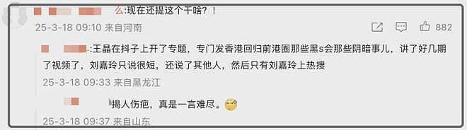 王晶曝刘嘉玲绑架案遭抨击！揭人伤疤没底线，港台艺人都避讳此事（组图） - 6