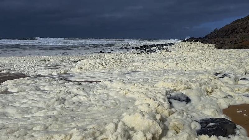 南澳海滩惊见神秘泡沫，死鱼遍布！100多名冲浪客眼痒、呼吸困难（图） - 1