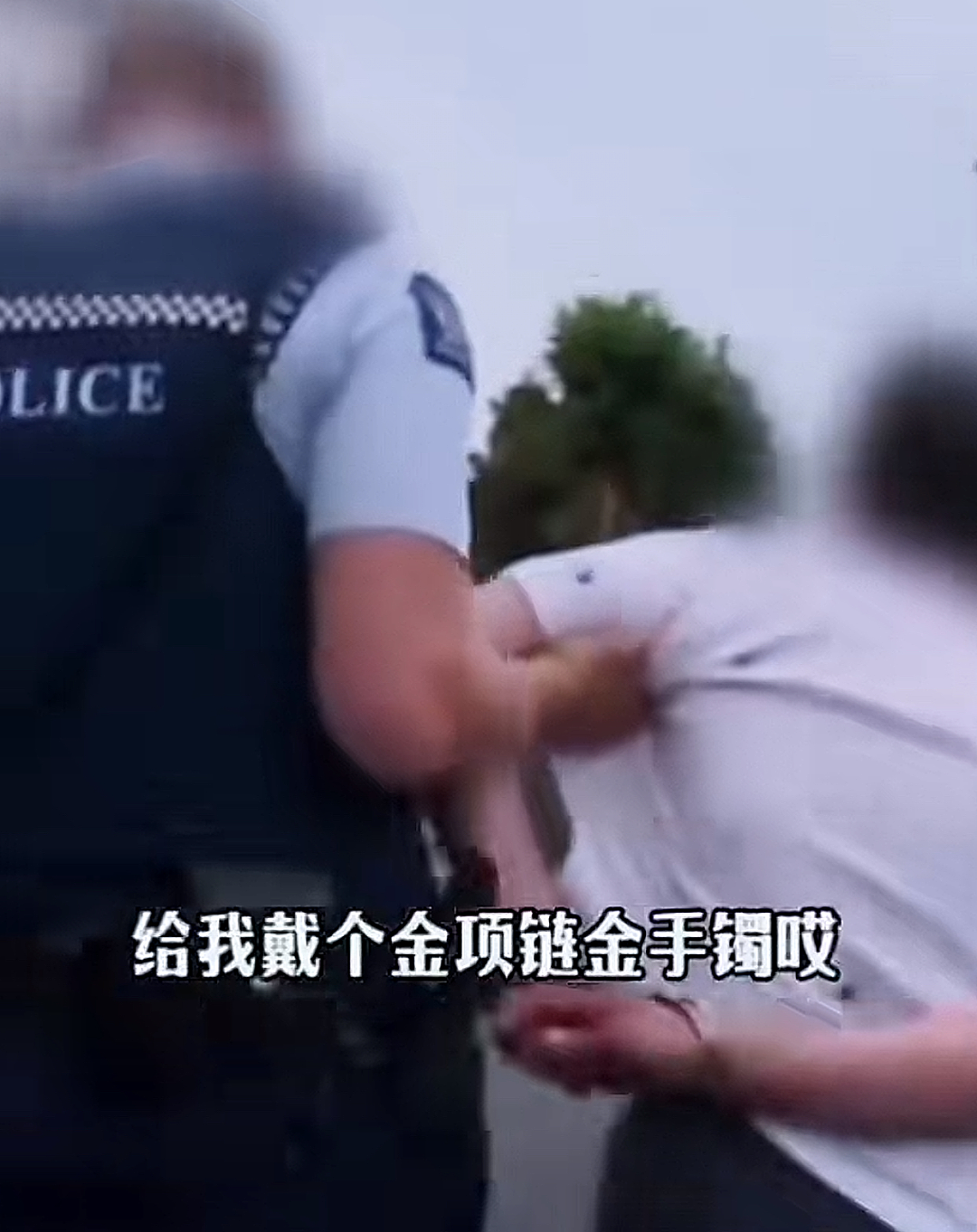 “养你40年，不如养条狗！”轰动华人圈的“报警抓亲妈”事件，看得心拔凉拔凉的…（组图） - 3