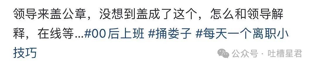 【爆笑】给领导盖错公章了怎么办？网友：哈哈哈盖到隐藏款了（组图） - 3