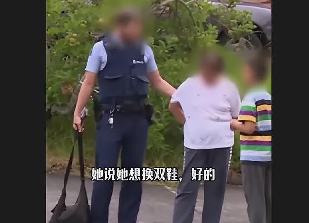 “养你40年，不如养条狗！”华人大妈赴美帮女儿带娃，反被女儿报警抓走？真相竟是...（组图） - 8