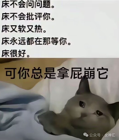 【爆笑】在男朋友车里发现别的女生的耳环，他说是手机卡针？网友无语：不分留着过清明？（组图） - 34