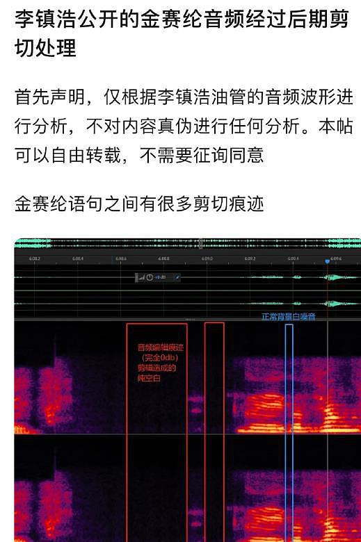 金赛纶承认在海外结婚的录音曝光！透露曾堕胎（组图） - 8