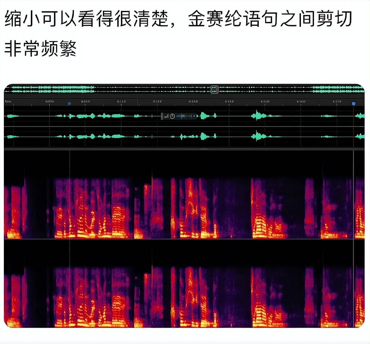 曝金赛纶与男友结婚并堕胎，录音合影曝光，疑录音造假证据被扒（组图） - 9