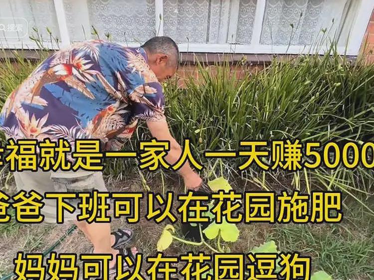 山东男子从阿里离职，带父母闯澳洲贴砖，一家年存款150万人民币（组图） - 11