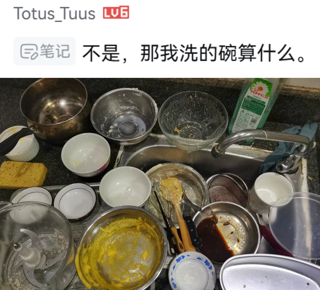 被打工人尊称“互联网主母”，这糊弄学大神做饭像狗饭但真实用啊（组图） - 18