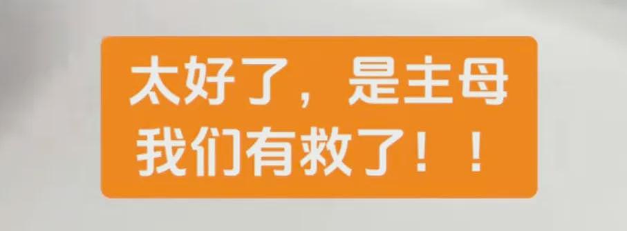 被打工人尊称“互联网主母”，这糊弄学大神做饭像狗饭但真实用啊（组图） - 31