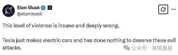 反马斯克人群开始打砸特斯拉？全美车主信息被“人肉”，卖掉车才能逃过一劫（组图） - 18