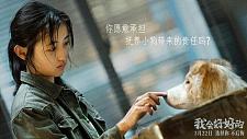 张子枫新片来袭，戏搭子是流浪狗，被这一对儿戳中了泪腺（图）