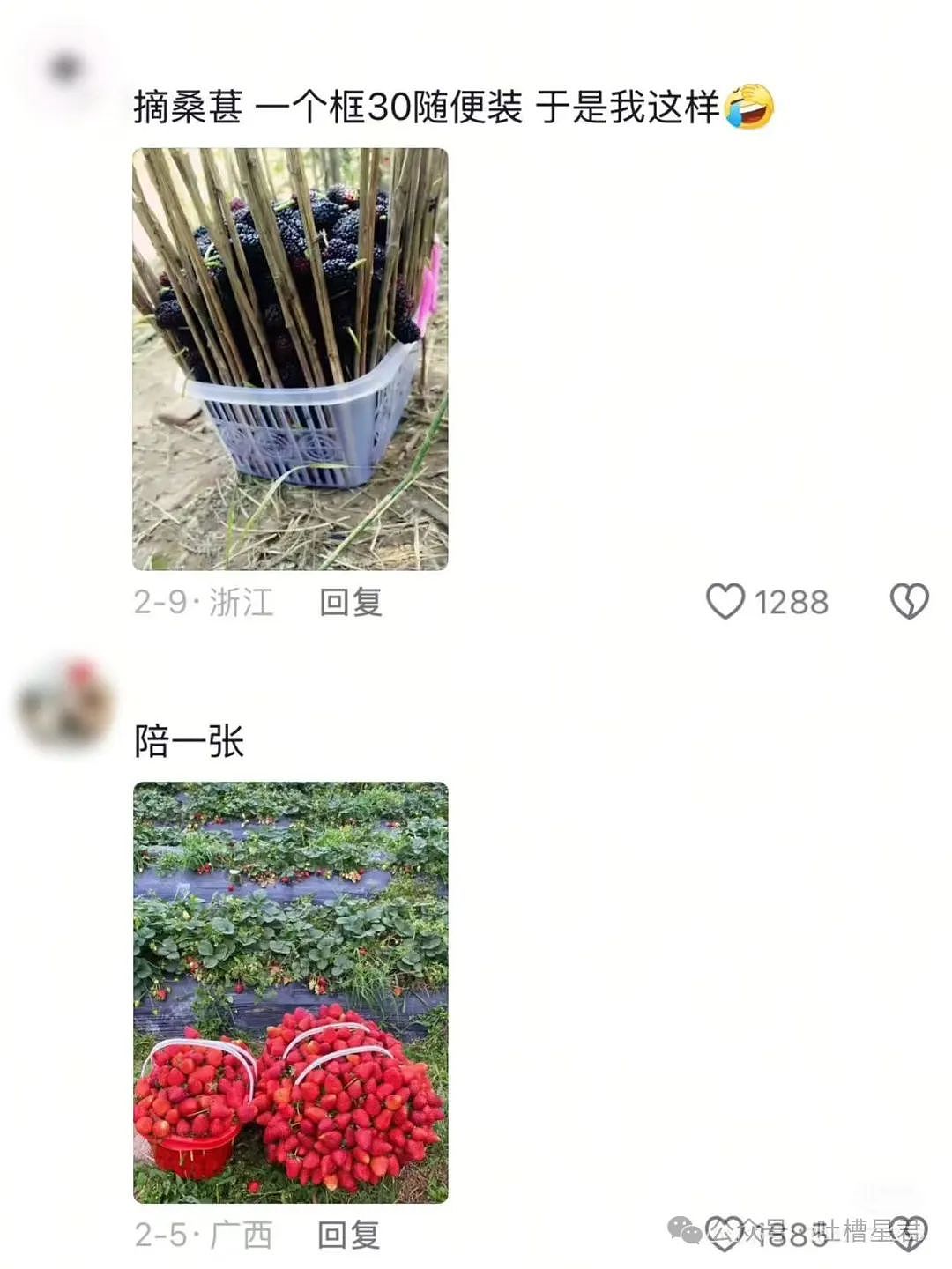 【爆笑】分手后把男朋友家搬空了！网友：人在干坏事时真是一身牛劲…（组图） - 72