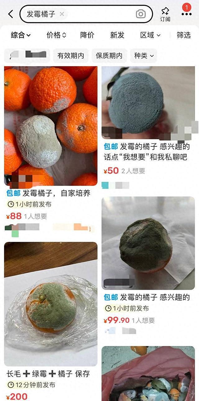 发霉橘子在二手平台卖到599元，网友：到底是谁在买啊？（图） - 1