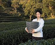 吴柳芳“杀疯了”恢复更新！3天涨粉2万！不擦边了...（组图）