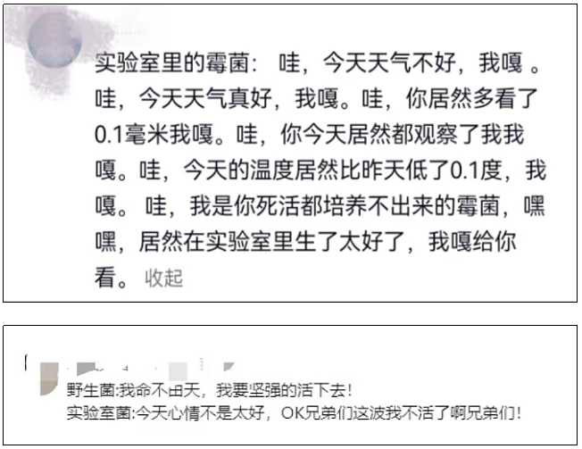 “发霉橘子”突然爆火卖出天价，网友称“我直接扔了”，专家紧急提醒（组图） - 6