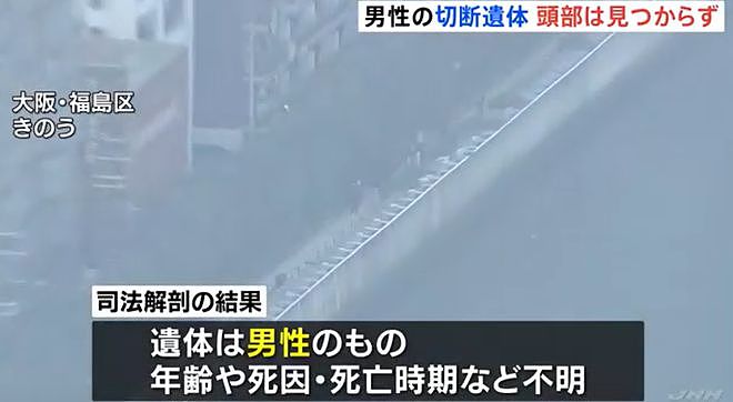 日本惊现碎尸案！市中心河边掉出30块人肉和骨头，头部却不知所踪…（组图） - 4