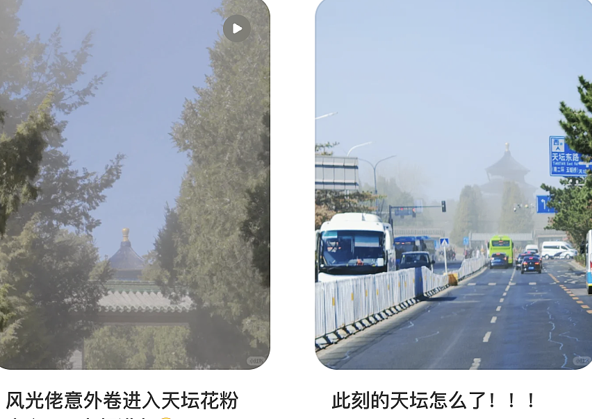 全体北京人的春季噩梦，两个字（图） - 11