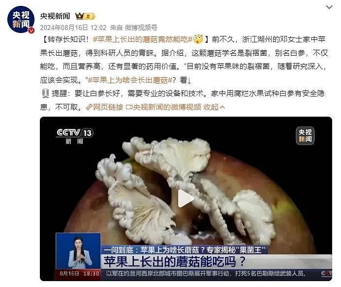 “发霉橘子”突然爆火卖出天价，网友称“我直接扔了”，专家紧急提醒（组图） - 5