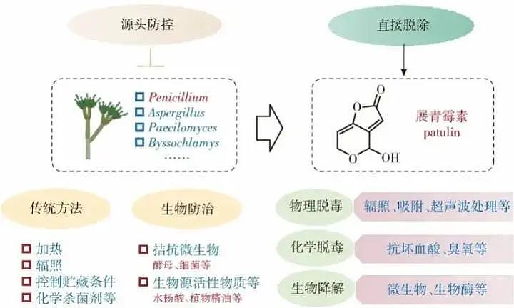 “发霉橘子”突然爆火卖出天价，网友称“我直接扔了”，专家紧急提醒（组图） - 8