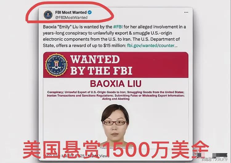 刘宝霞是谁？身价竟超本拉登！FBI悬赏1500万美金通缉中国大姐（组图） - 1