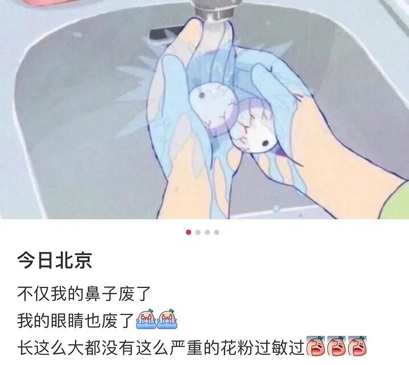 全体北京人的春季噩梦，两个字（图） - 14