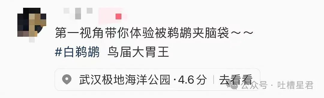 【爆笑】“被老板骂完后竟疯狂对其表白...”网友：我嘞个丧心病狂啊（图） - 59