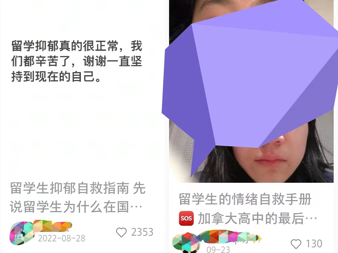 痛心！20岁中国女留学生在澳洲死亡，离世前4小时还回复网友，背后真相值得每一个留子关注…（组图） - 15