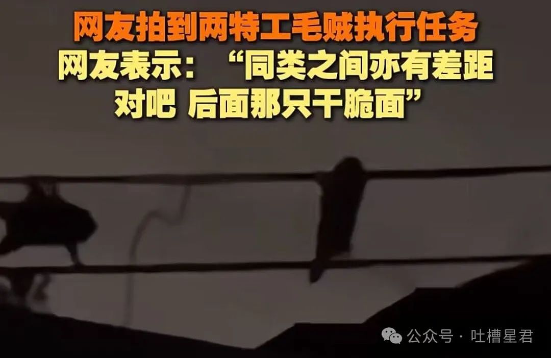 【爆笑】“被老板骂完后竟疯狂对其表白...”网友：我嘞个丧心病狂啊（图） - 55