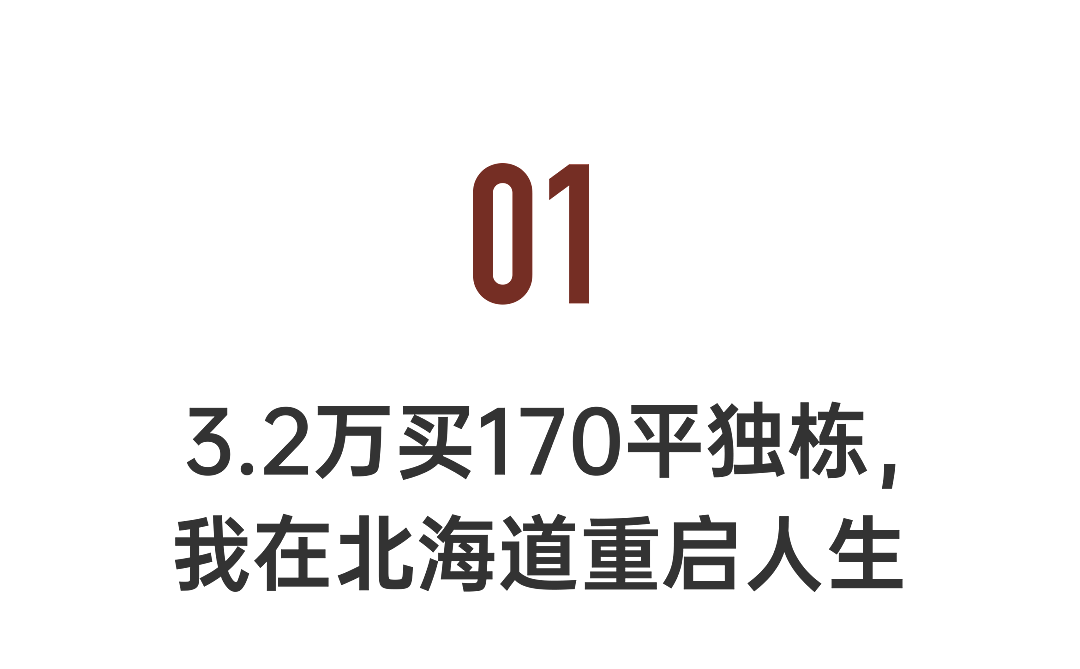 3.2万全款买下170m²独栋：年轻人跨国捡漏（组图） - 4