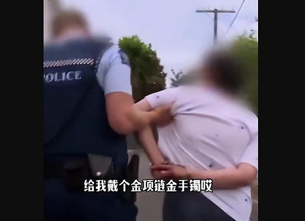 炸裂！中国大妈出国帮女儿带娃，反被女儿报警抓走：“养你40年，不如养条狗！”（组图） - 2