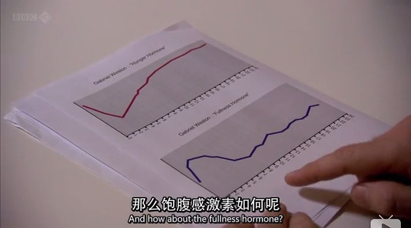 再次颠覆认知！减肥失败不是因为意志力？胖子其实更不容易饿？BBC纪录片让人大开眼界（组图） - 13