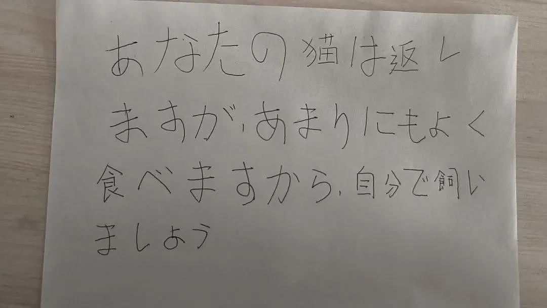 【宠物】20斤巨猫被偷一个月后送回，身上多了张纸条，网友一看差点笑死哈哈哈哈（组图） - 13