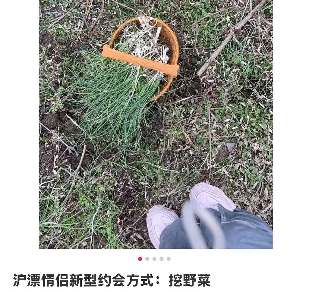 上海最狠的相亲方式：一起挖野菜 最深情的暗示（组图） - 1