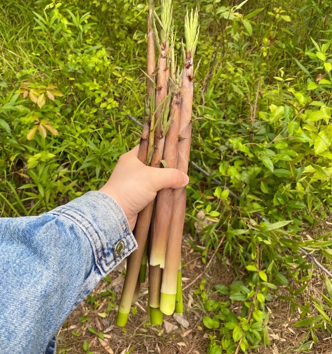 上海最狠的相亲方式：一起挖野菜 最深情的暗示（组图） - 14