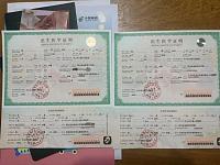 生双胞胎17岁代孕女孩已嫁人且有生育史，相关代孕机构涉嫌20万一个买卖出生证明（图）