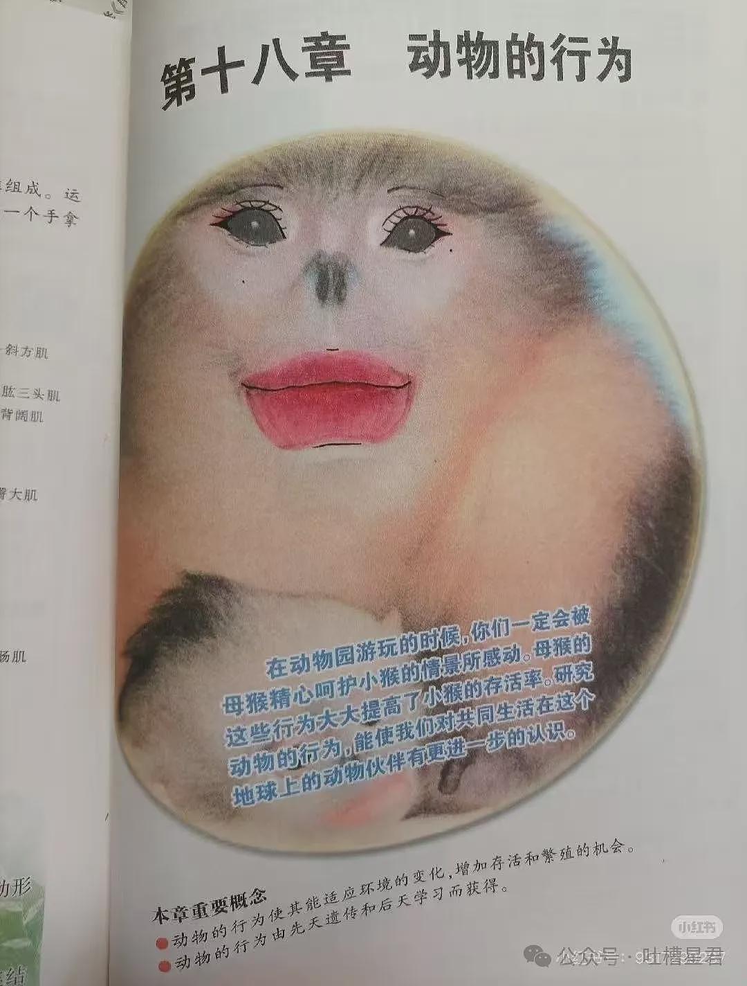 【爆笑】“用上古老梗和crush聊天是什么体验...？”啊啊啊简直梦回当年（组图） - 26