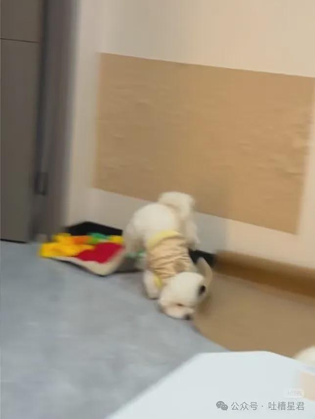 【爆笑】“用上古老梗和crush聊天是什么体验...？”啊啊啊简直梦回当年（组图） - 81