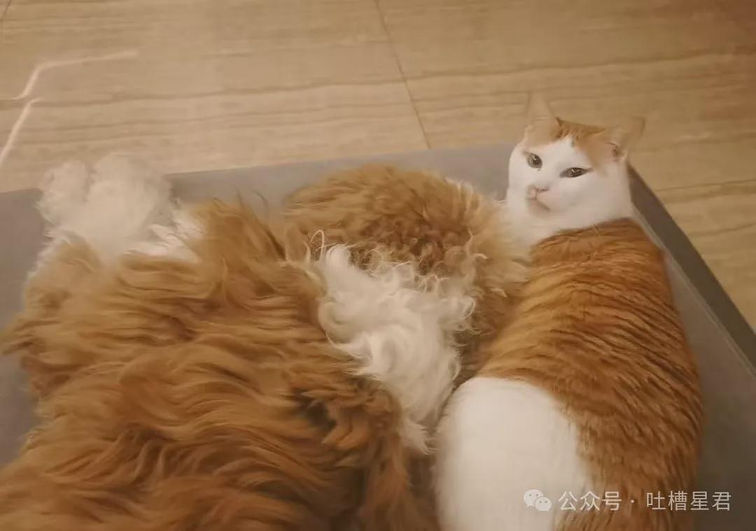 【爆笑】“用上古老梗和crush聊天是什么体验...？”啊啊啊简直梦回当年（组图） - 45