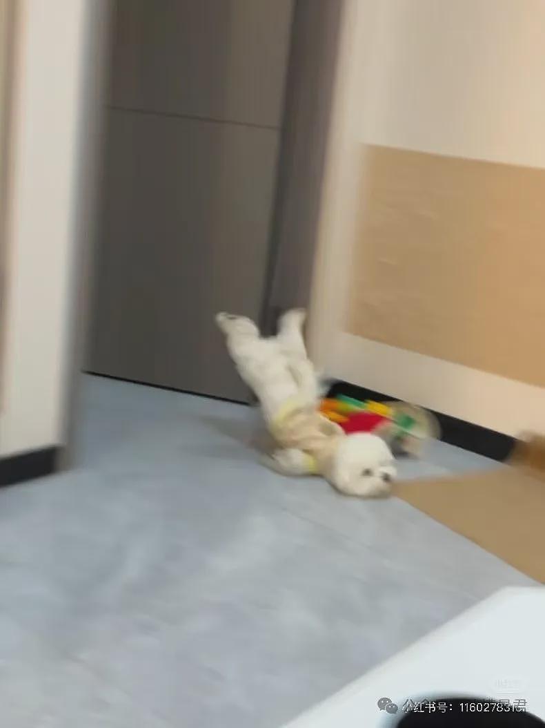 【爆笑】“用上古老梗和crush聊天是什么体验...？”啊啊啊简直梦回当年（组图） - 80