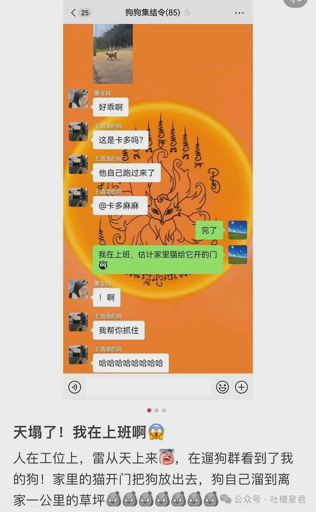 【爆笑】“用上古老梗和crush聊天是什么体验...？”啊啊啊简直梦回当年（组图） - 44