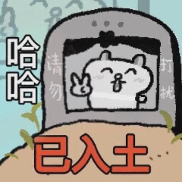 【爆笑】“用上古老梗和crush聊天是什么体验...？”啊啊啊简直梦回当年（组图） - 1