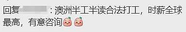 听在澳的朋友说，拿“这签”可以打工赚钱！中国留学生用这种方式赚外快违法！新西兰中领馆发提醒（组图） - 12