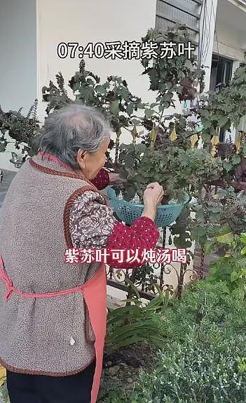 热搜上细思恐极的“老鼠人”事件:当代成年人,只有30秒(组图) - 14