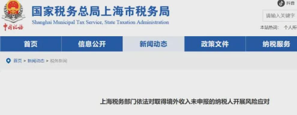 华人注意：中国官方公告严查个人境外报税！有人要补交上百万（组图） - 3