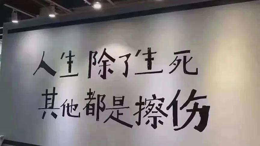 高速惊魂一幕,透露开车保命法则:走灰不走白,遇黑停下来(组图) - 4