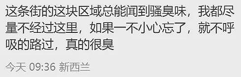 大妈当街脱裤子，在天空塔下撒尿！新西兰最繁忙市中心，游客当场傻眼（组图） - 7