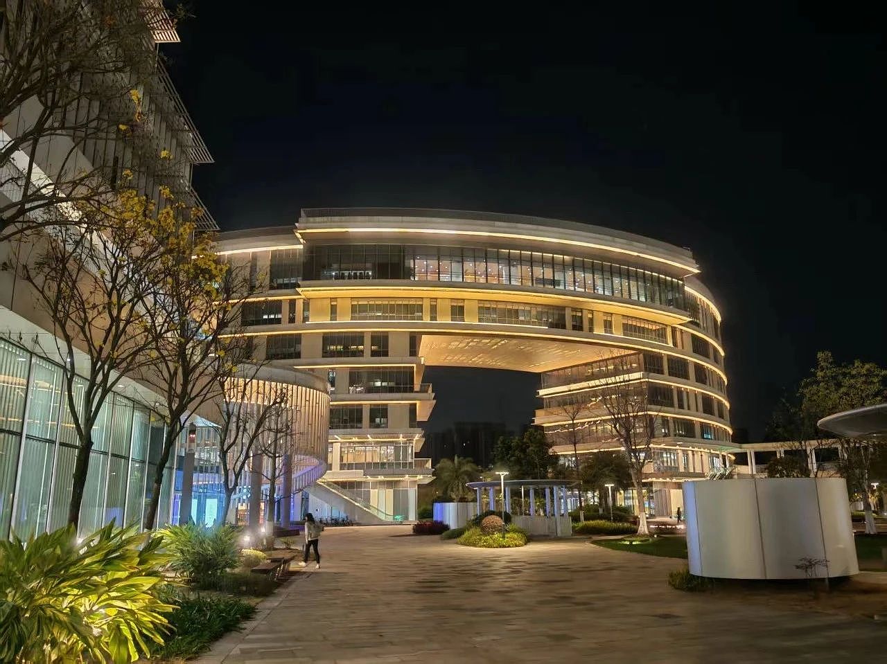 西北工业大学硕士被澳洲导师拒绝！中国985学生，正在抛弃海外留学（组图） - 7