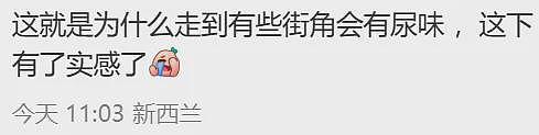 大妈当街脱裤子，在天空塔下撒尿！新西兰最繁忙市中心，游客当场傻眼（组图） - 6