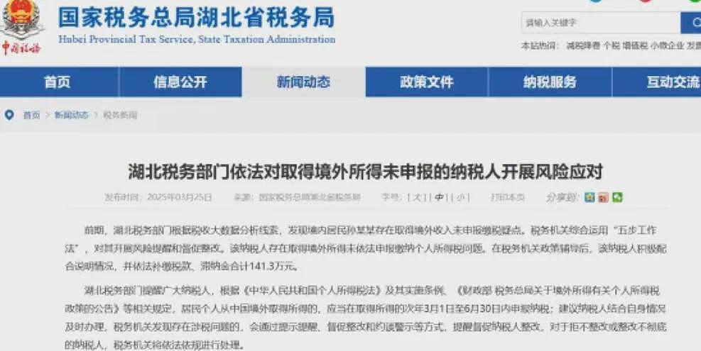 华人注意：中国官方公告严查个人境外报税！有人要补交上百万（组图） - 5