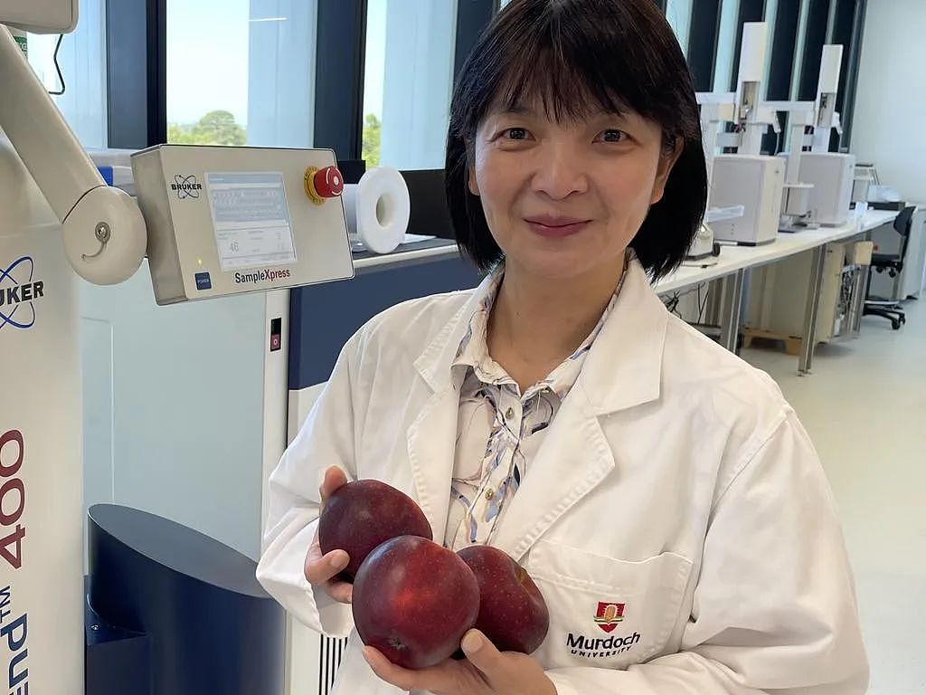 澳洲大学研究：这款苹果，可能可以保护心脏！（组图） - 3
