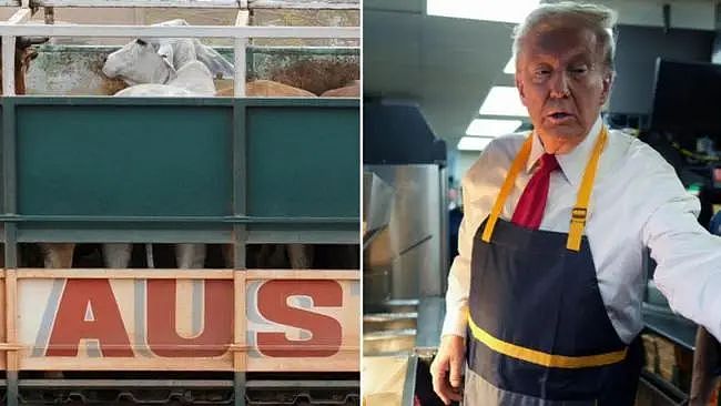 特朗普开喷澳洲牛肉！“美国连一个汉堡都卖不到澳洲！”（组图） - 4